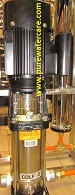 Pompa CNP Centrifugal Pump 2 HP CDLF2-13 